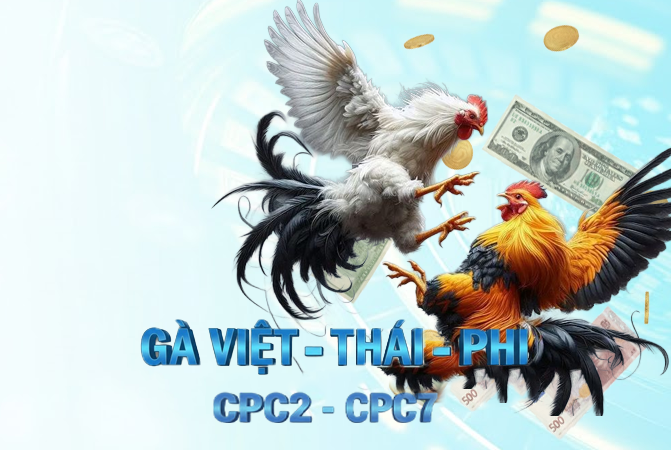 Đá Gà